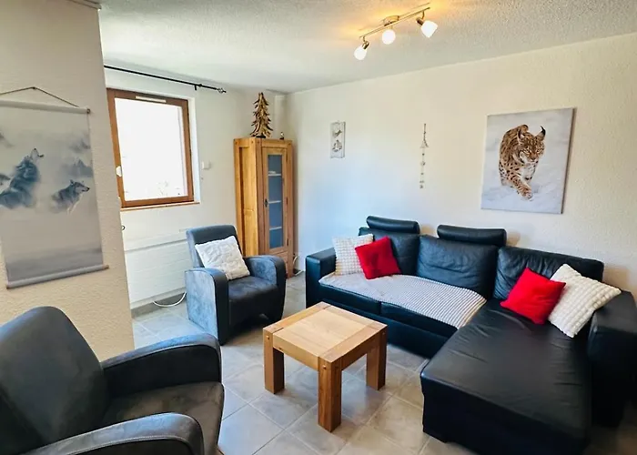 Cozy For 9 People, Ski-in Out, 2alpes * 莱德萨阿尔卑斯