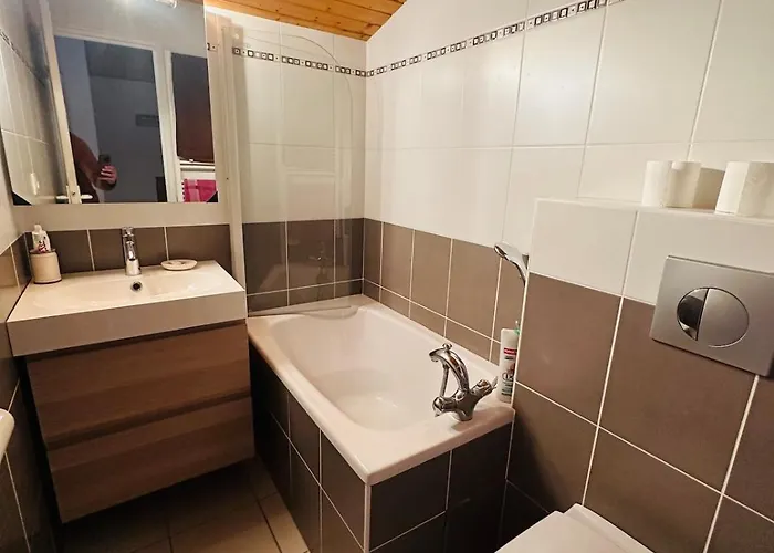 Cozy For 9 People, Ski-in Out, 2alpes 公寓