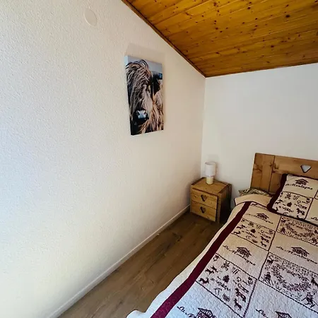 Cozy For 9 People, Ski-in Out, 2alpes Les Deux Alpes