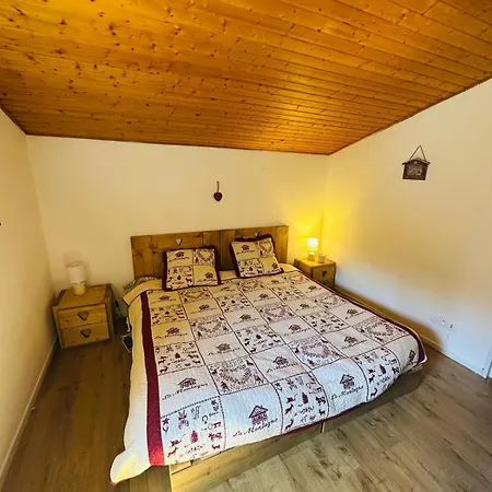 Cozy For 9 People, Ski-in Out, 2alpes Appartement