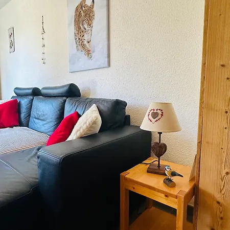 Cozy For 9 People, Ski-in Out, 2alpes * Les Deux Alpes