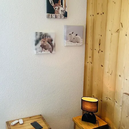 Cozy For 9 People, Ski-in Out, 2alpes Appartement *