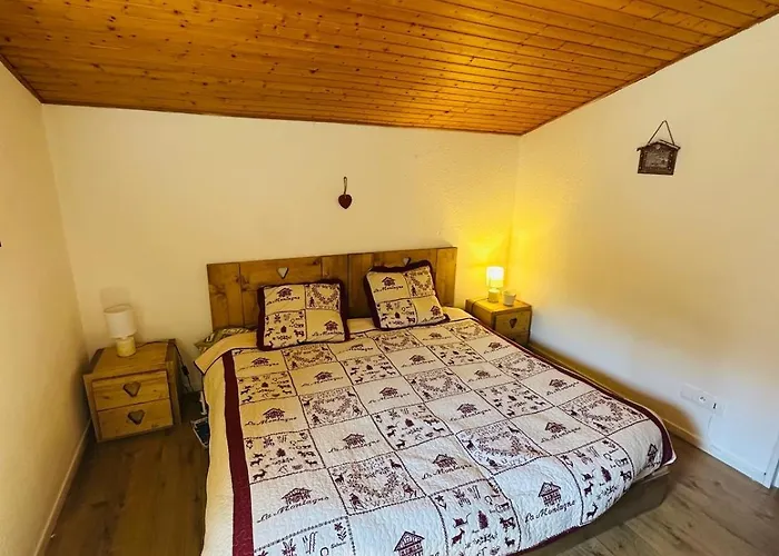 Cozy For 9 People, Ski-in Out, 2alpes Апартаменты