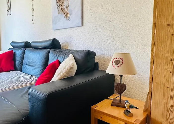 Cozy For 9 People, Ski-in Out, 2alpes * Ле дез Альп